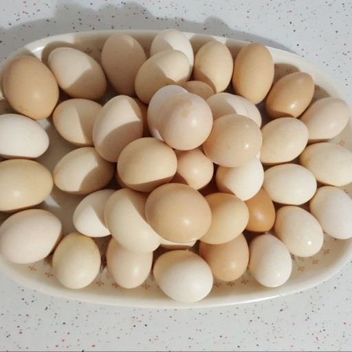 یک شانه (30 عدد ) تخم مرغ محلی اصل و ارگانیک باغات قصردشت شیراز جهت تبلیغ کار