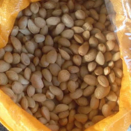بادام سنگی(900گرمی)