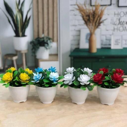 گل مینیاتوری گل و گلدان لیوانی شمشاد پک چهار تایی دارای طرح تزئینی با گلدان پلاستیکی زیبا ساخت چین
گل های زینتی رومیزی ب