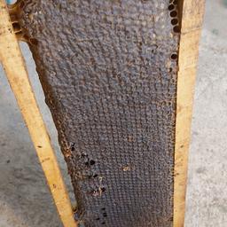 عسل طبیعی  ب شرط ازمایش از دامنه سبلان عسل موم دار  (یک کیلویی)