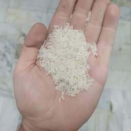 برنج طارم فجر عطری درجه یک گرگان (ارسال رایگان) 