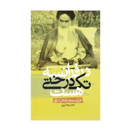 کتاب در فرانسه تک درختی هست ... تأملاتی در جهان انقلاب اسلامی نشر معارف

