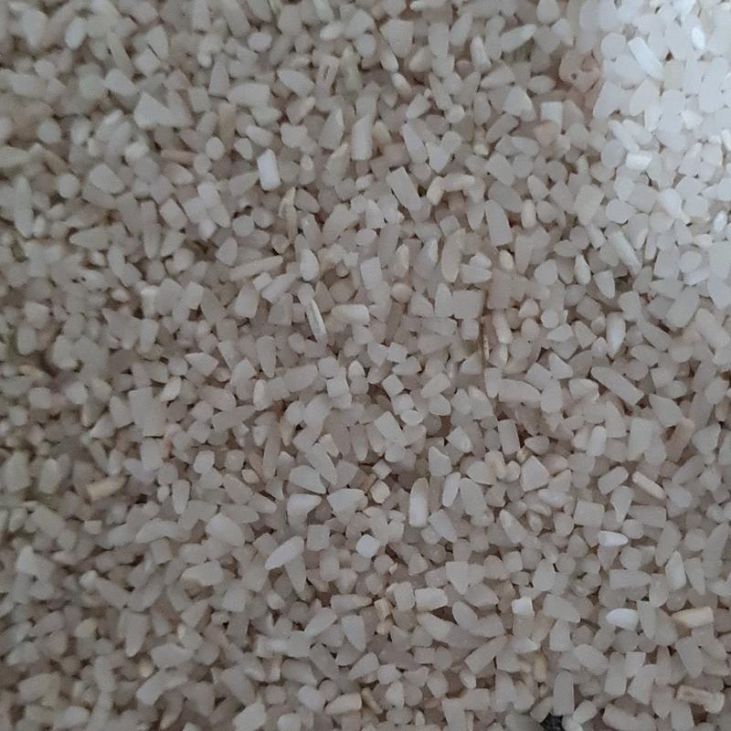 برنج هاشمی نیم دانه(10 کیلویی) الموت قزوین