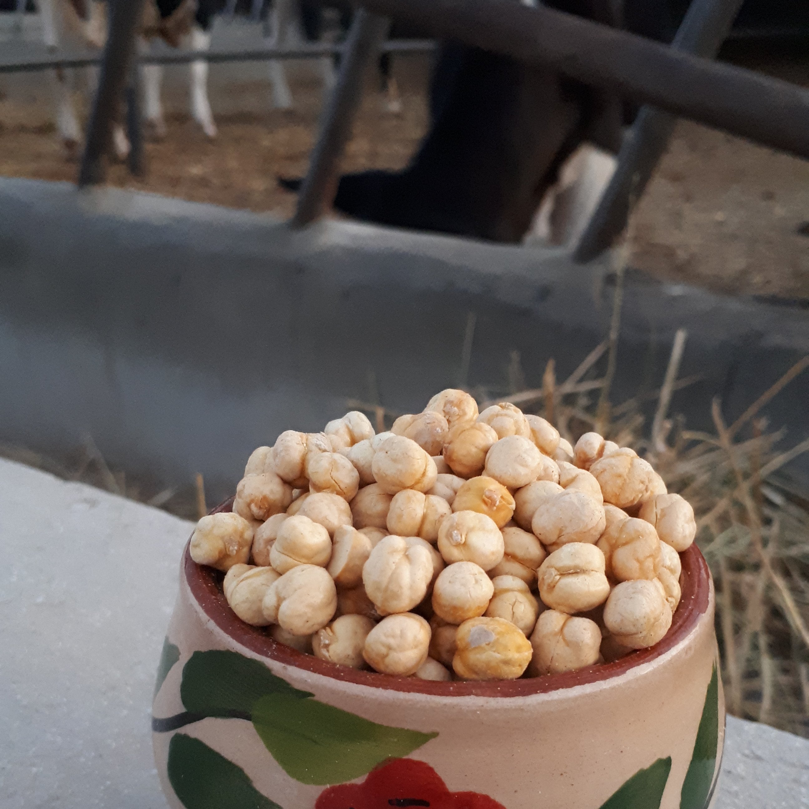 نخود دو آتیشه خام امسالی در بسته های 500 گرمی