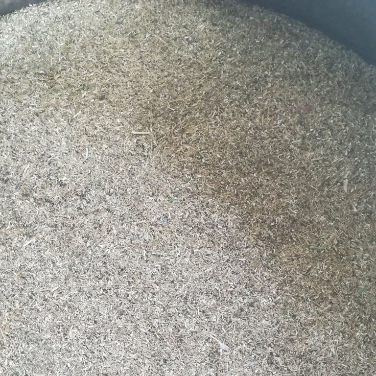 عرق زیره سبز  غلیظ و درجه یک بیشه