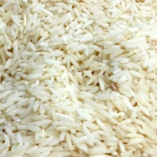 برنج طارم مازندران