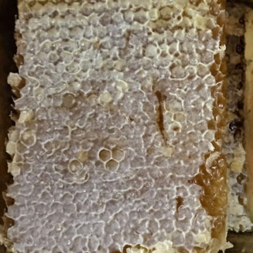 پکیج اقتصادی عسل موم دار 4 کیلوگرمی سبلان
