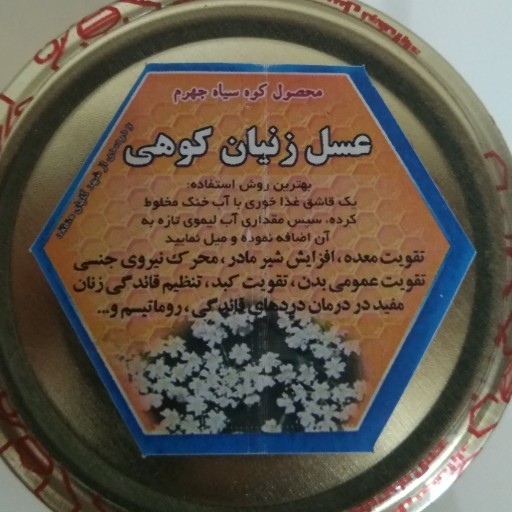 عسل حاج صادق (زنیان کوهی)