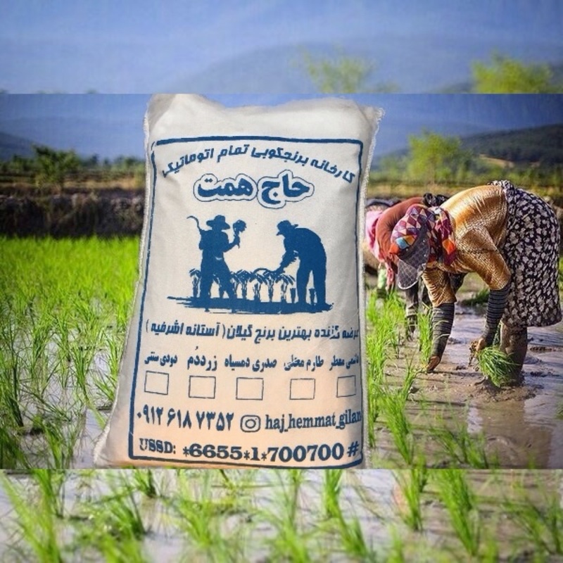 برنج طارم هاشمی معطر فریدونکنار (5 کیلو ) محصول امسال