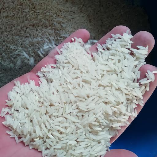 برنج هاشمی معطر درجه یک کشت اول با وزن 100 کیلوگرم