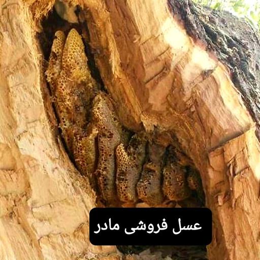 عسل وحشی درختی2کیلو(عسل فروشی مادر )