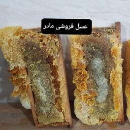 عسل طبیعی آویشن ییلاقی( مومدار)(عسل فروشی مادر )