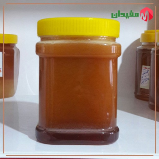 عسل طبیعی 2 کیلویی سهند (شفت درجه یک) محصول کوه های مراغه