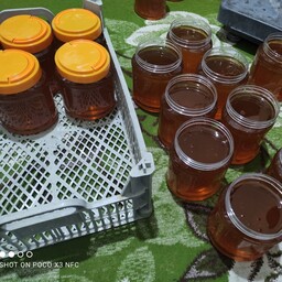 عسل طبیعی  یک کیلویی برداشت بهاره ارسالش رایگانه
