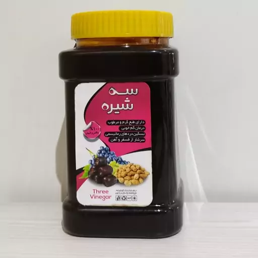 سه شیره یک کیلویی( ترکیب انگور  و  خرما و توت)