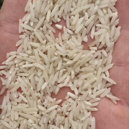 برنج پر محصول طلائی (100 کیلویی) خوش پخت امساله صداقت