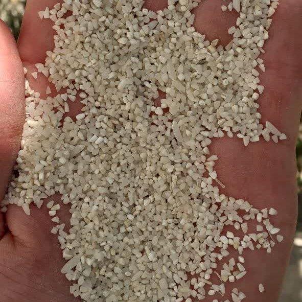برنج نیم دانه درجه 2 طارم هاشمی (1 کیلویی) سورت شده صداقت