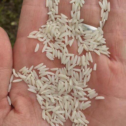 برنج طارم هاشمی (50کیلوئی) غربال شده  صداقت