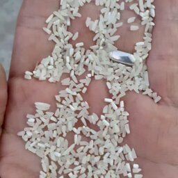 برنج سرلاشه فجر (5 کیلویی) پاک شده صداقت 