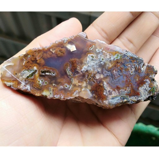 اسلایس سنگ راف شجر دریایی 7 رنگ محشر 100درصد طبیعی