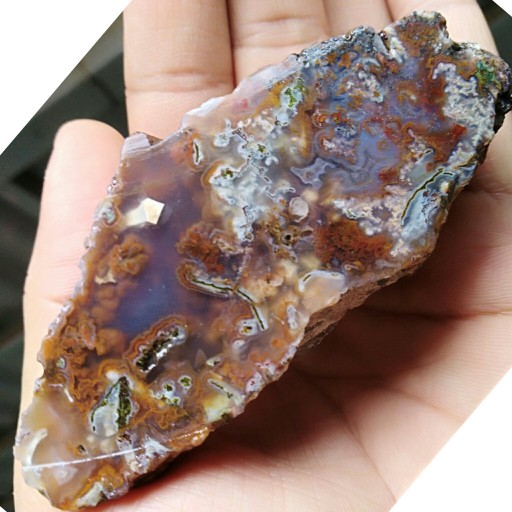 اسلایس سنگ راف شجر دریایی 7 رنگ محشر 100درصد طبیعی