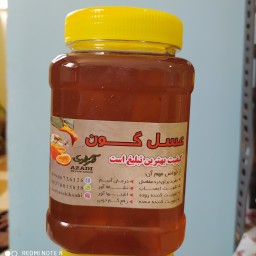 عسل گون مستقیم از زنبوردار یک کیلو گرمی برداشت 1402 ((پلمپ شده و بهداشتی))