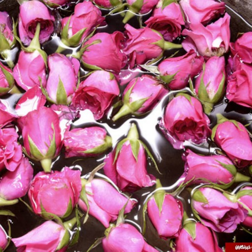 گلاب طبیعی (1 لیتری) 30 کیلو گل