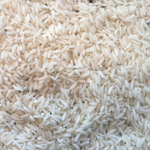 برنج ممتاز هاشمی گیلان