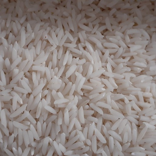 برنج هاشمی درجه1 لاهیجان