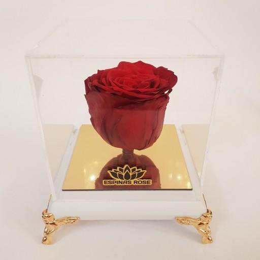 گل رز جاودان قرمز همراه با باکس پایه مبلی با سفید و مشکی