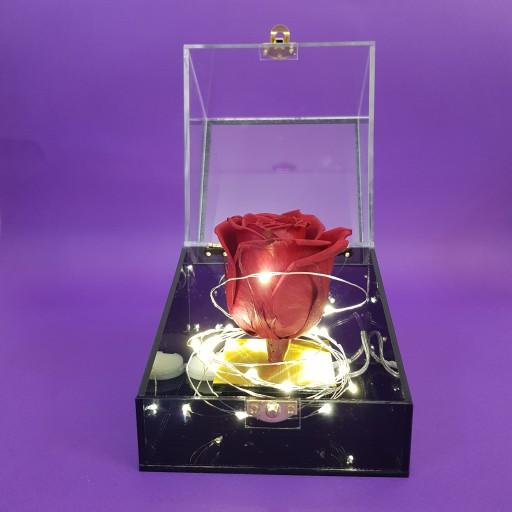 گل رز جاودان قرمز با باکس تمام پلکسی همراه ریسه و ربان