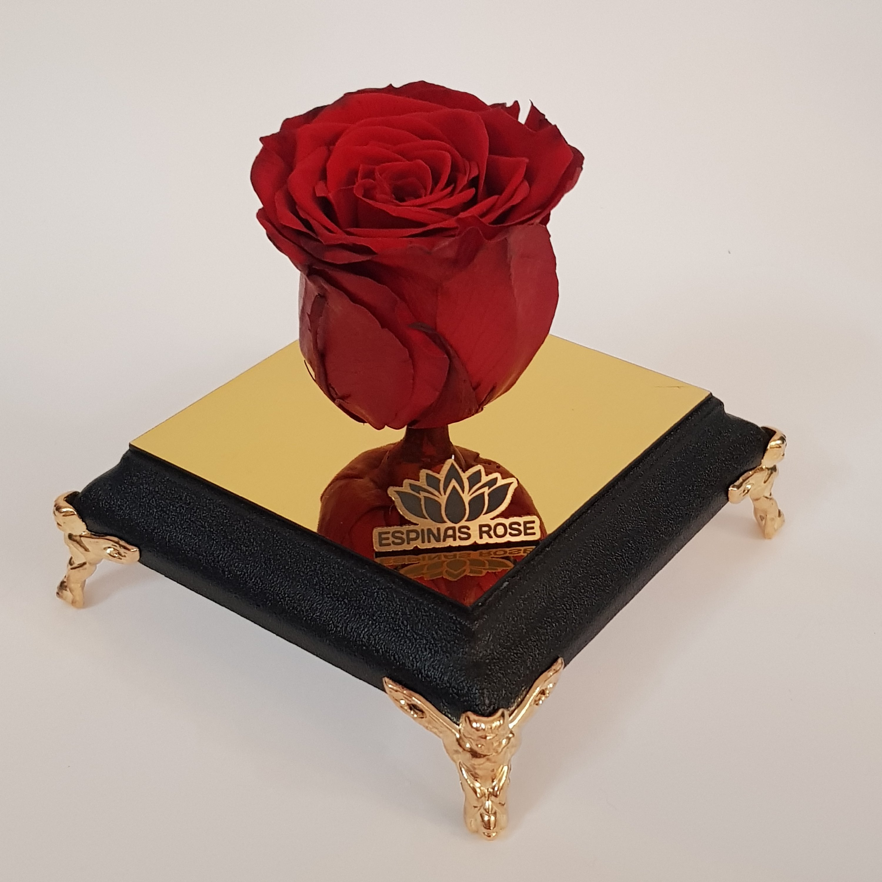 گل رز جاودان قرمز با باکس و کاور (سرخ)