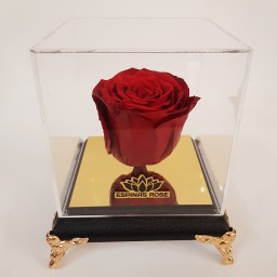 گل رز جاودان قرمز با باکس و کاور (سرخ)