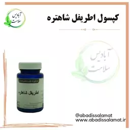 مکمل گیاهی اطریفل شاهتره آبادیس 