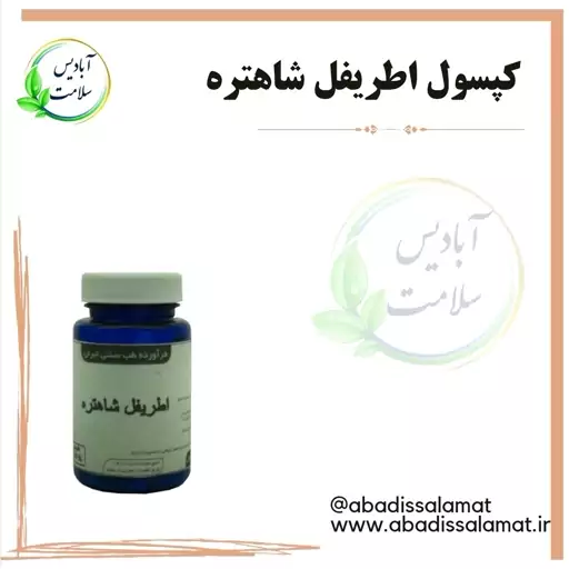 مکمل گیاهی اطریفل شاهتره آبادیس 