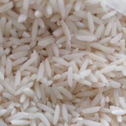 برنج شیرودی خوش پخت و اقتصادی