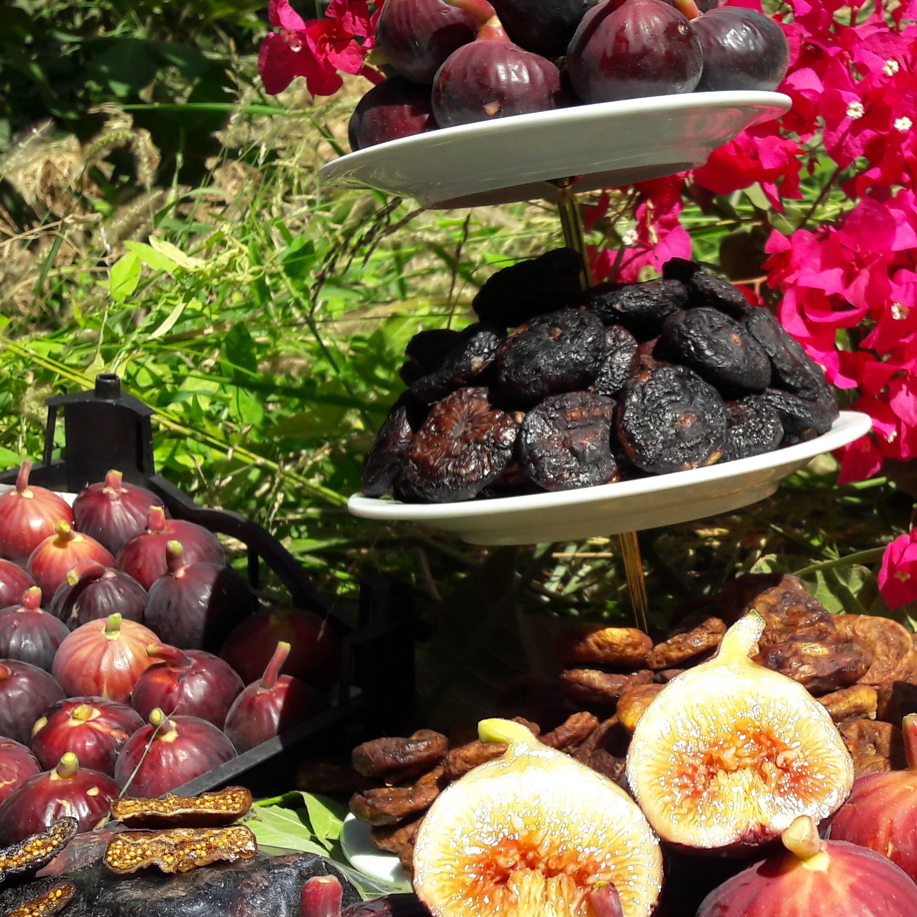 انجیرخشک درشت نیم کیلویی