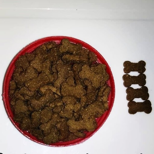 غذای خشک سگ بالغ گارد نژاد بزرگ صادراتی 1کیلوگرم (تضمین کیفیت و ضمانت بازگشت)