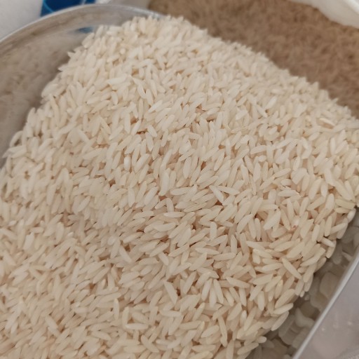برنج طارم ممتاز فریدونکنار فوق اعلا