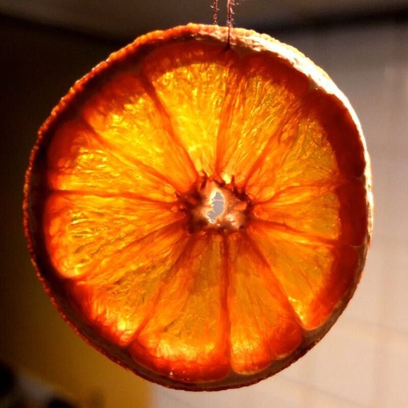 پرتقال خشک صادراتی اعلاء