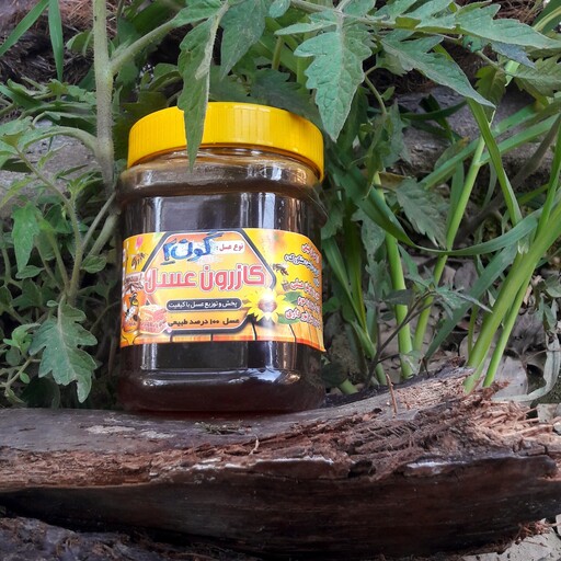 عسل گون خارزرد طبیعی با کیفیت بالا طعم و عطری مطلوب مستقیم از کندو بدون مواد افزودنی