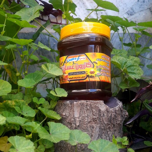 عسل گرمسیری طبیعی با کیفیت بالا و خوش طعم با عطری دلنشین مستقیم از کندو بدون مواد افزودنی