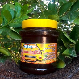 عسل چندگیاه طبیعی از مراتع جنوب کشور  که دارای پوشش گیاهی متنوع و قوی از گل های معطر است