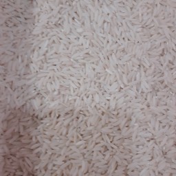 برنج هاشمی عطری فوق اعلاء آستانه 10 کیلویی