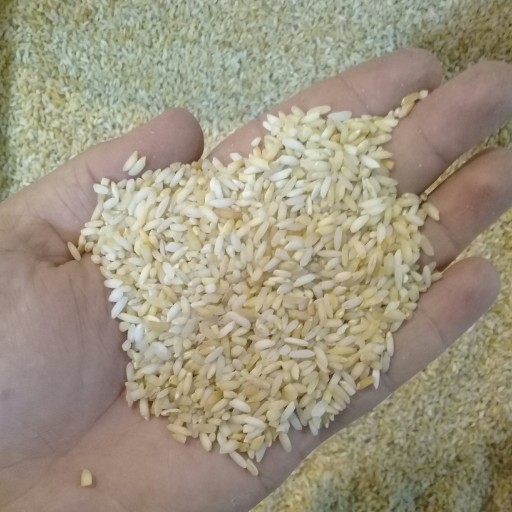 برنج عنبر بو زعفرانی 1 کیلویی