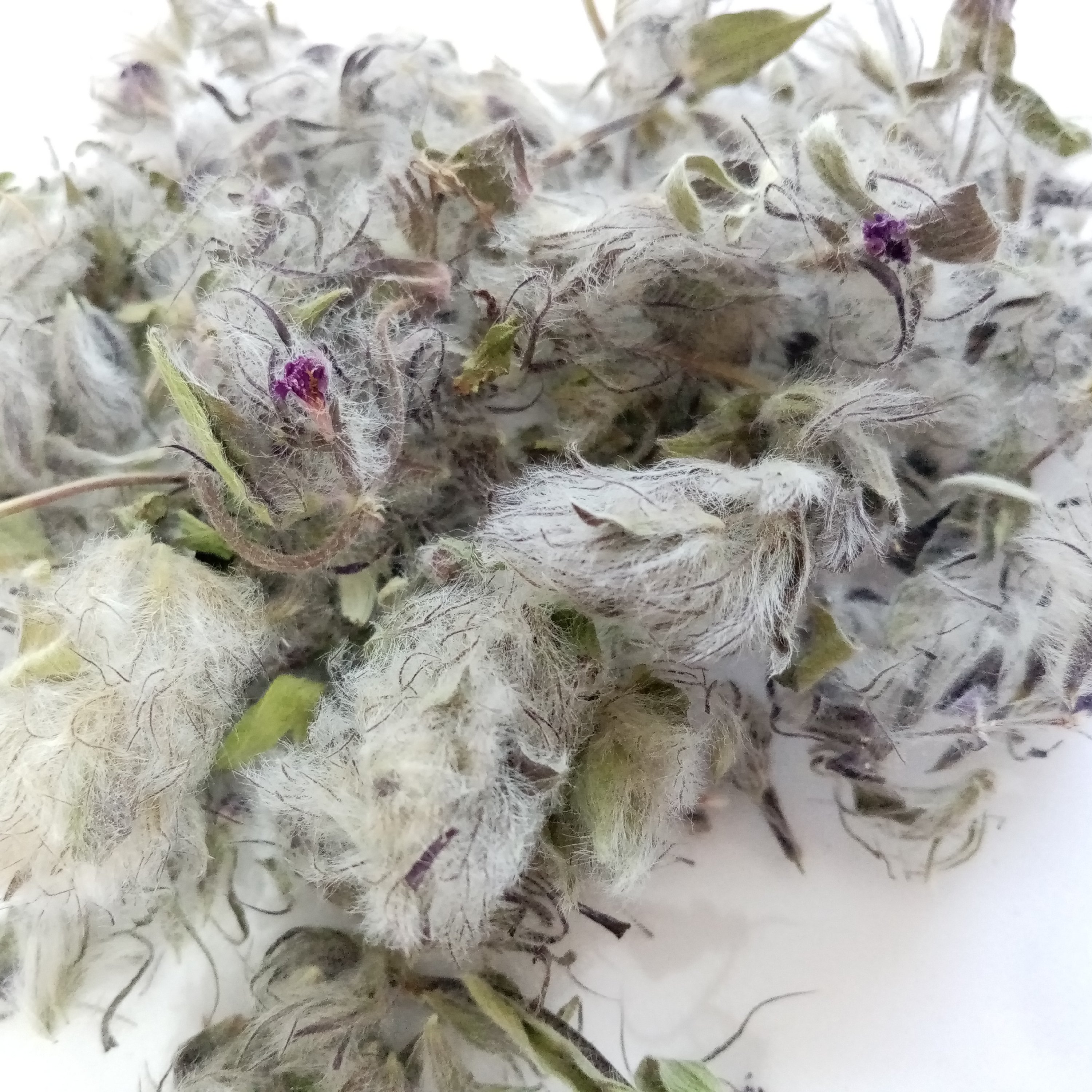 چای کوهی امسالی (1 کیلویی)