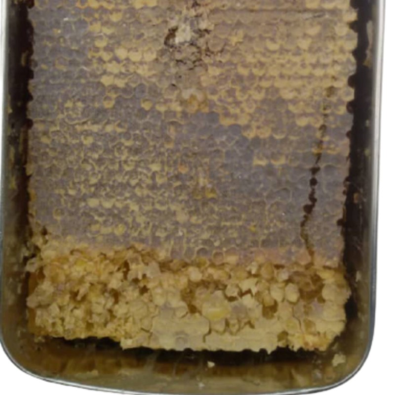 عسل با موم 2 کیلو (محصول کوهستانهای شهرستان خلخال)ارسال رایگان