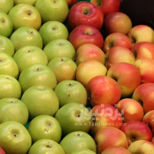 سیب درجه یک محصول روستای پیام شهرستان مرند آذربایجان شرقی