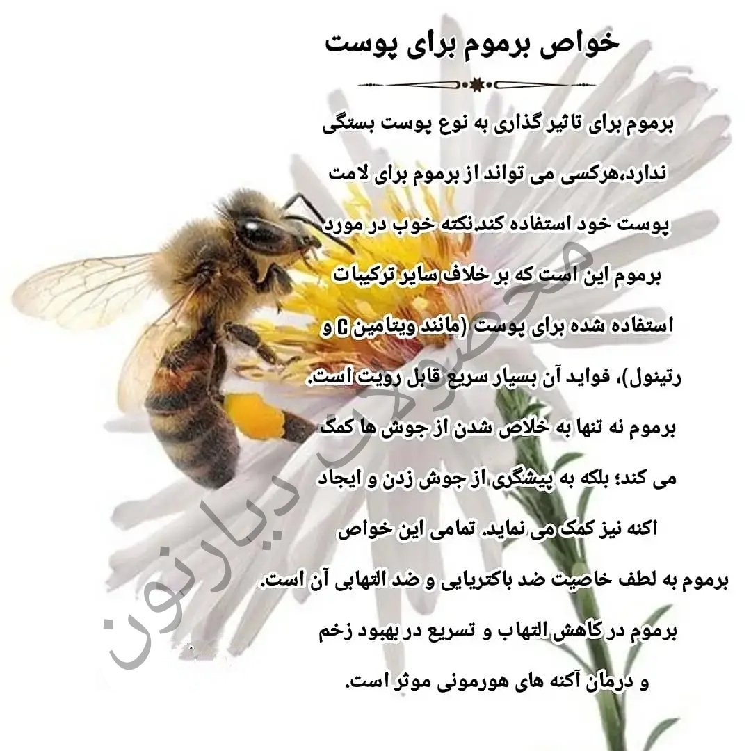 حبه بره موم (Propolis) ،( قوی ترین آنتی بیوتیک طبیعی)در بسته بندی 50 عددی