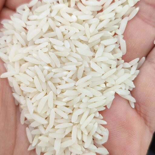 برنج فریدونکنار (ندا خوش پخت)،برنج غلامی ، ده کیلویی و با ارسال رایگان 